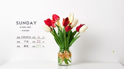 4k治愈简约桌面