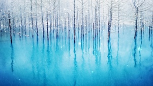 浪漫雪景
