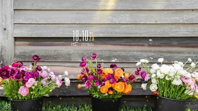 4k简约清新小花花系列