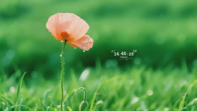 清新护眼雨中花