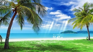 大海椰子树