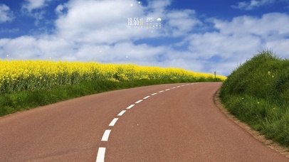 小路油菜花