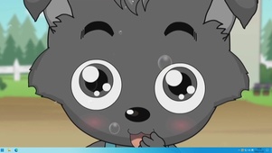 小灰灰