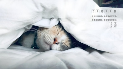 想做一只猫躺平