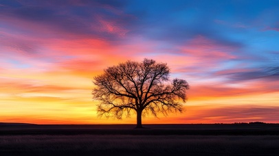 夕照独树