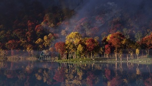 4K清晨山景