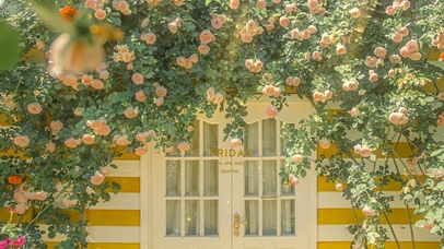 唯美治愈护眼风景