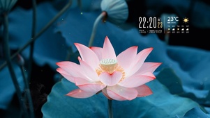 治愈古风莲花风景