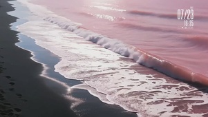 粉色海洋