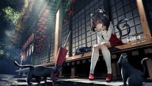 猫咪装扮女孩