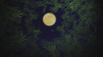 竹林圆月