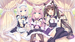 猫娘乐园