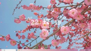 花花晓日  电脑版