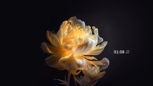 4k治愈 星光繁花