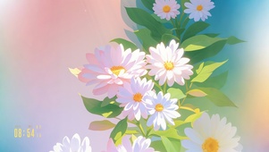 4K 绽放的花儿