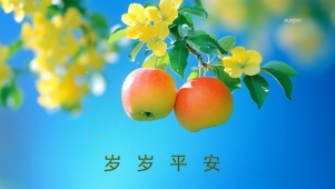岁岁平安