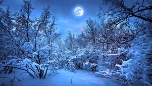 寂静雪夜