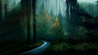 4k 治愈护眼雨天绿林