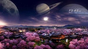 古镇樱花