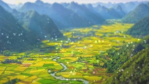 田园