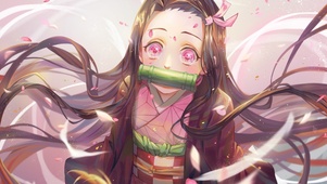 弥豆子