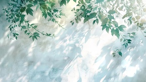 墙角的清新绿叶