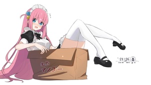 波奇