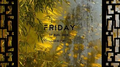 竹叶金光  壁纸