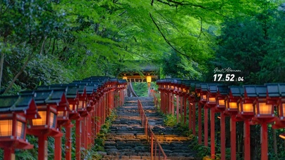 4K唯美绿叶树林小路