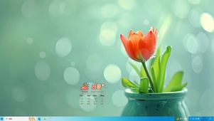 阳光下的花儿