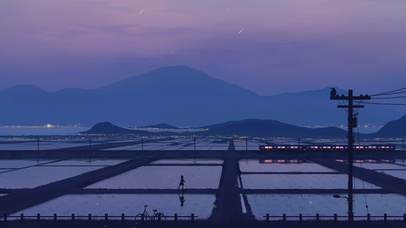 乡间稻田夜景