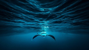 深海扶摇