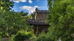 4K 春季蓝天白云绿树成荫