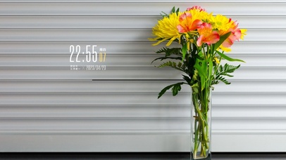 清新花卉桌面壁纸