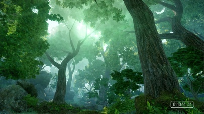 森林狂想曲【学习工作专用白噪】