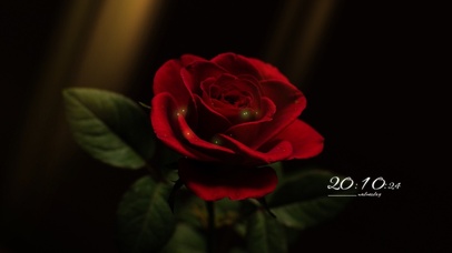 简约荧光玫瑰桌面