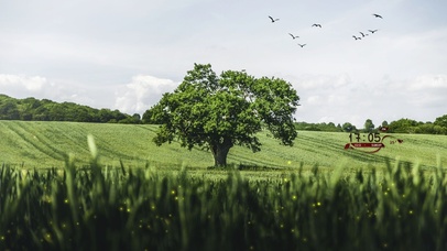 4k清新风景桌面