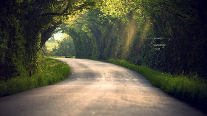 午后阳光树林小路