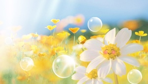 黄色花花泡泡~