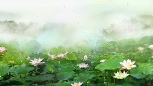 雾中荷花