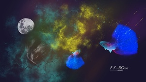 唯美浪漫星空鱼