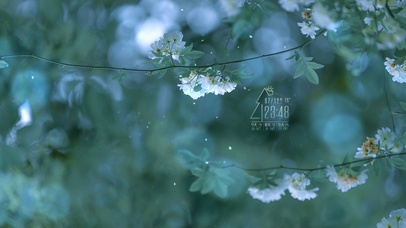 4K唯美治愈清新白木香