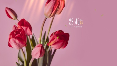 小清新电脑壁纸