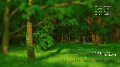 密林 树林 森林 绿色 护眼 