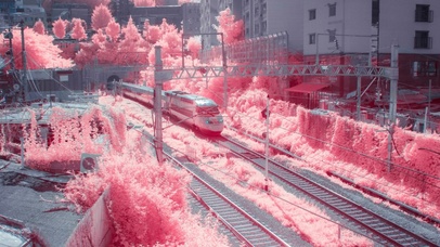 通往花海的列车