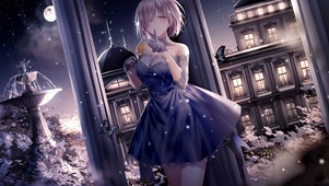 fate美少女
