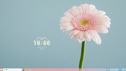 一朵雏菊主题壁纸