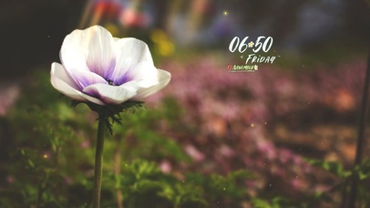 4k高清唯美花系列