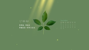 4k绿色护眼壁纸