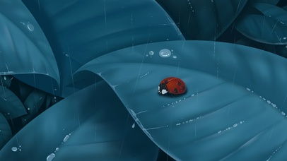 #极简主义 6K 【瓢虫】